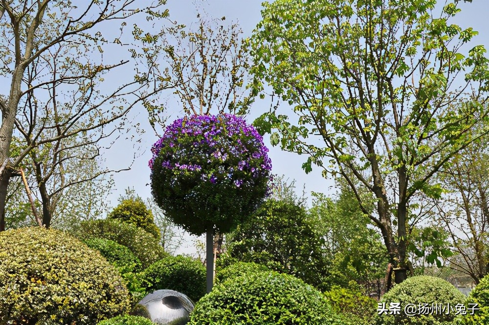 魔都和帝都哪个好,魔都和帝都分别是哪个城市