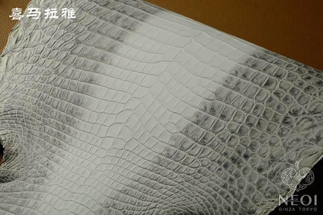 鳄鱼皮包包知识,鳄鱼怎么挑选