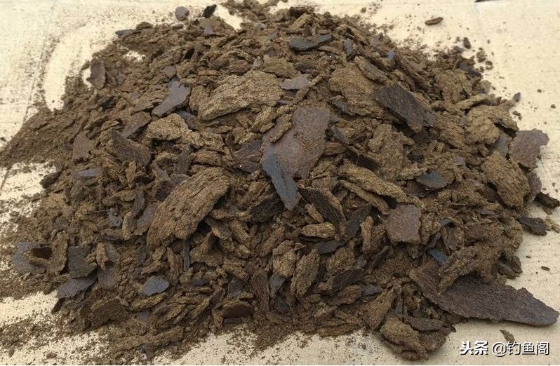 抛竿爆炸钩鲤鱼鲫鱼饵料选择,抛竿爆炸钩如何装饵料