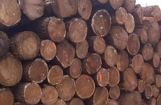 玩木头推荐木材,玩木头的十大好处