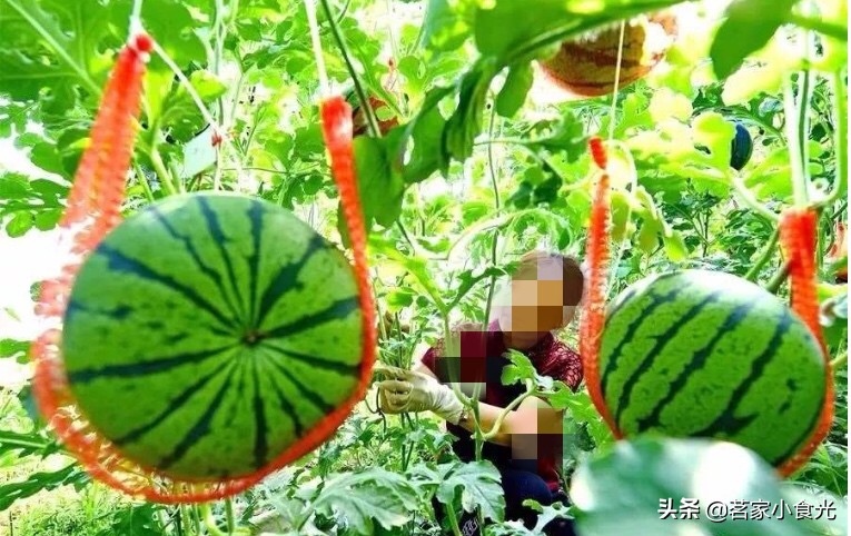 石家庄的特产小吃有哪些可以带,来到石家庄必须尝尝石家庄的特产