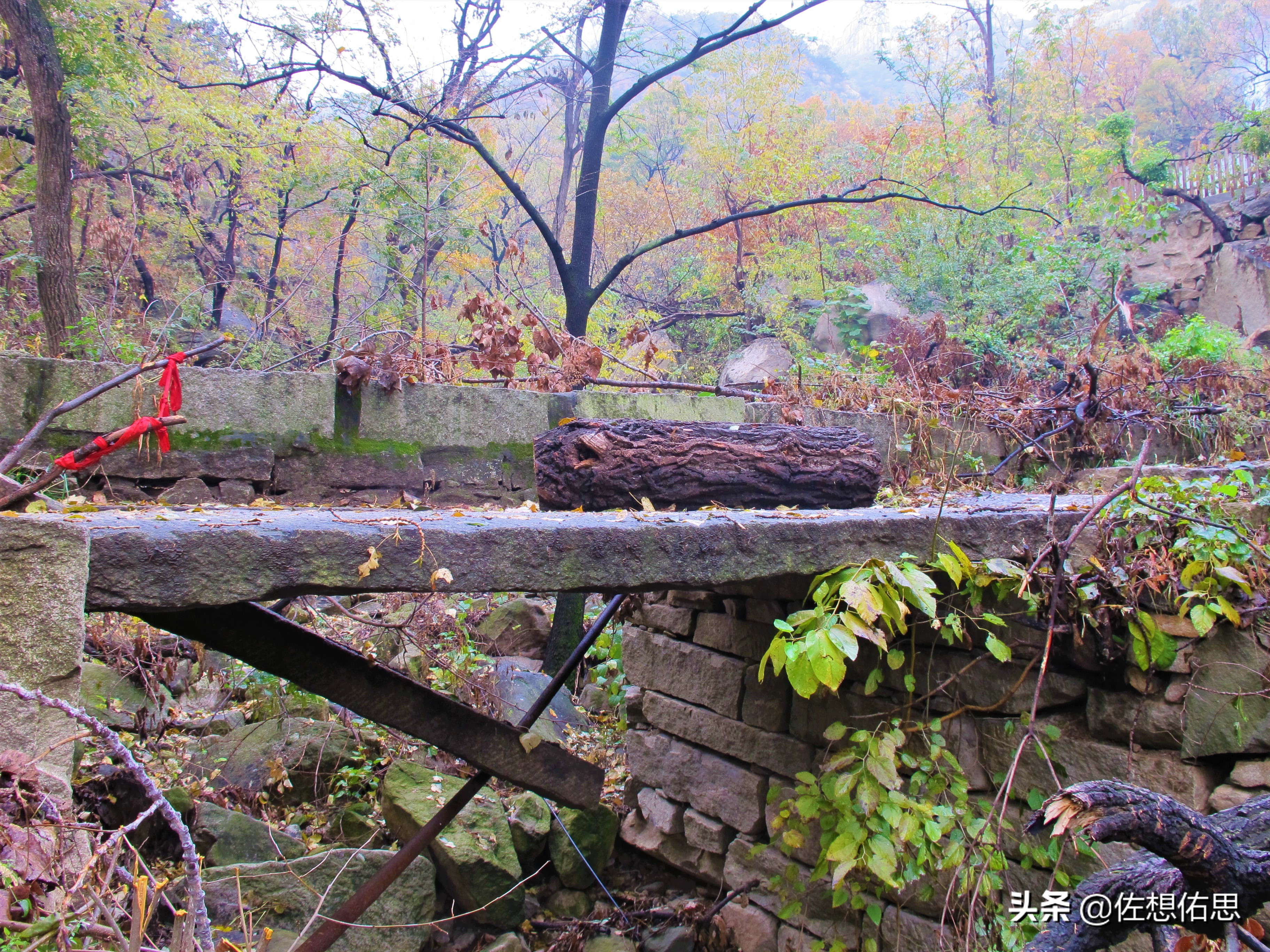 扇子崖优惠,泰安扇子崖免门票吗