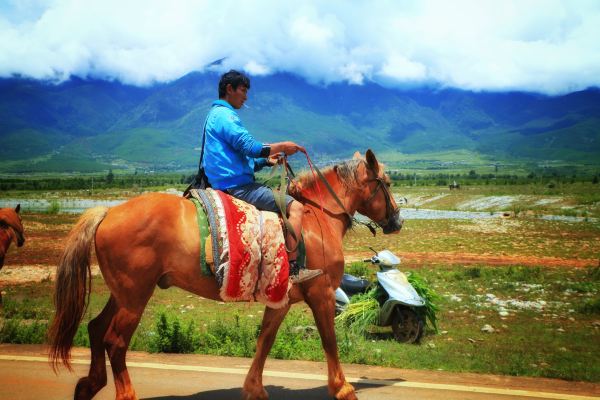 丽江小时光，遇见皆是欢喜