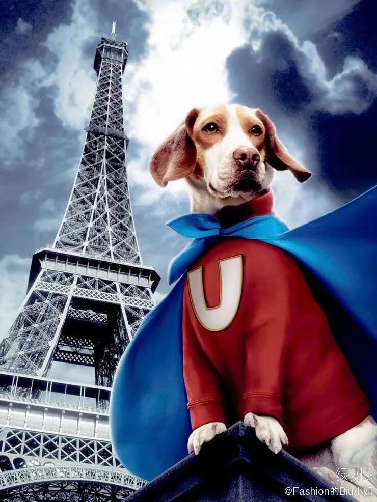 网友做的电视剧海报,让人惊艳的电影海报