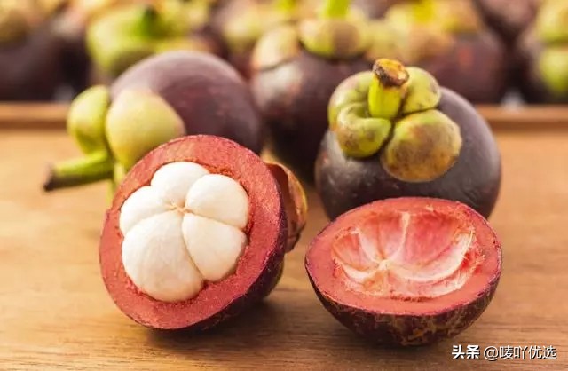 山竹油竹麻竹红叶怎么区分,山竹麻竹油竹瓜竹都是怎么区分的