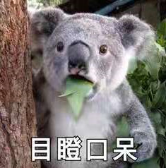 网红*肥药减**：成本1毛、致幻、上瘾，不仅谋财，还会害命