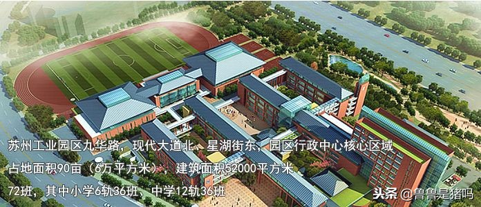 苏州有哪些五年一贯制学校,苏州园区九年一贯制学校排名