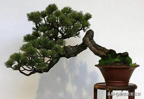 十大赚钱冷门生意,赚钱的冷门生意有哪些