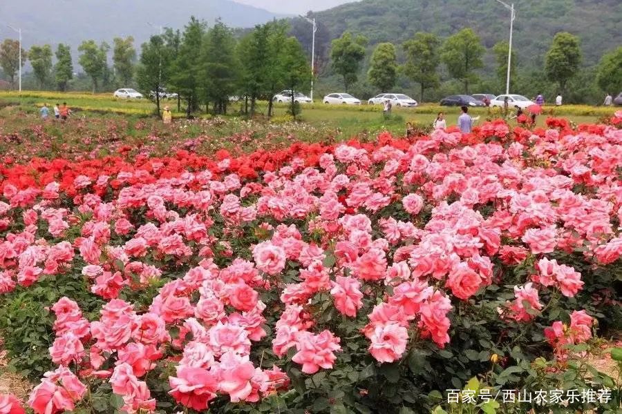 苏州西山免费打卡,苏州东山风景区网红打卡