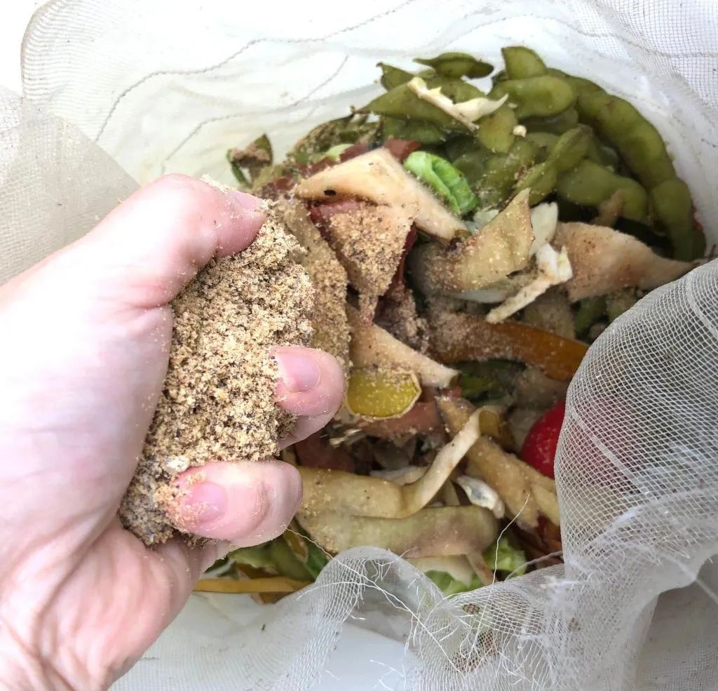 每天剩饭制作酵素肥料,酵素堆肥烂菜叶子制作全过程