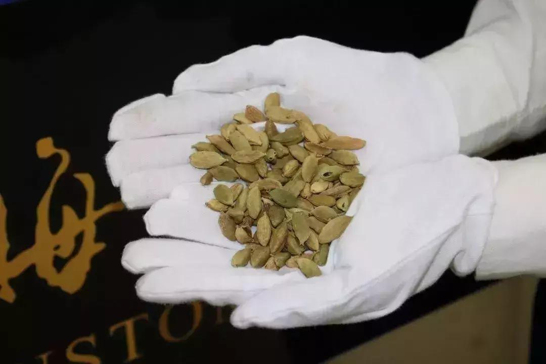 去香港带什么会被罚款,深圳人去香港可以呆多久