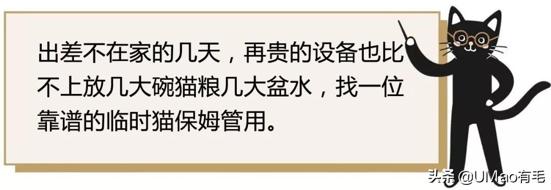 李佳琦叫卖都不管用！双十一猫咪用品这些坑得避