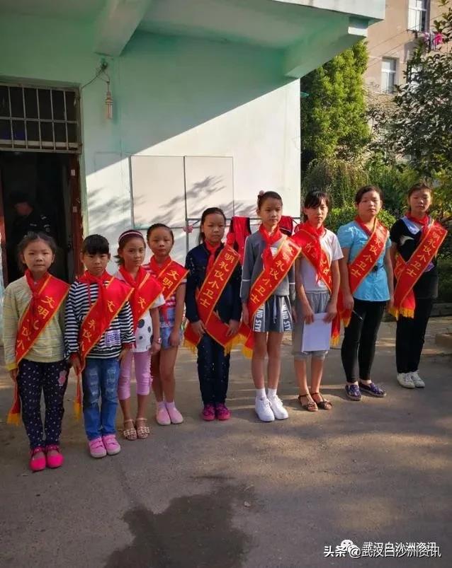 白沙洲青菱片区有哪些小学,白沙洲青菱小学怎样
