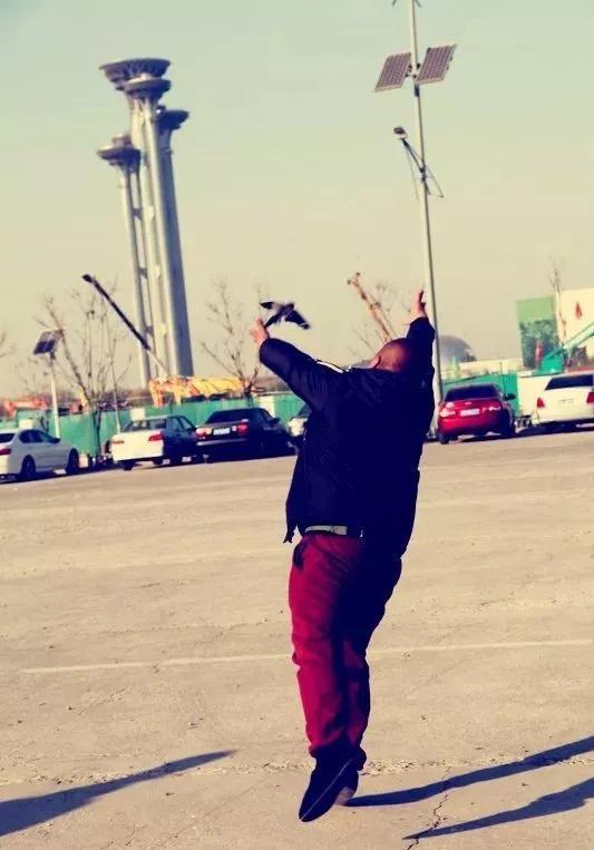 训鸟视频大全,训鸟入门基础知识