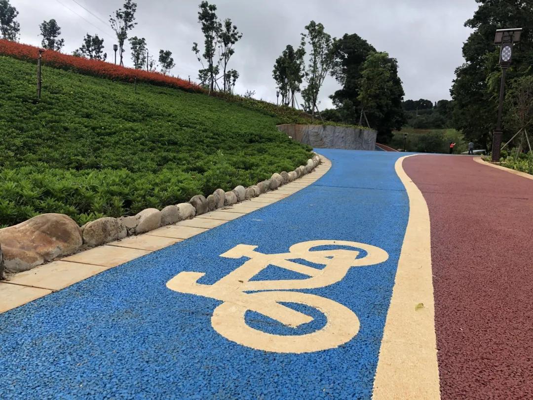 @个旧人，动起来！15分钟健身圈你打卡了吗？