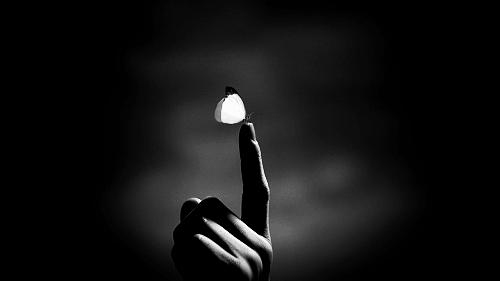 一支“神奇”的芦荟膏:谁绊住了你的幸福