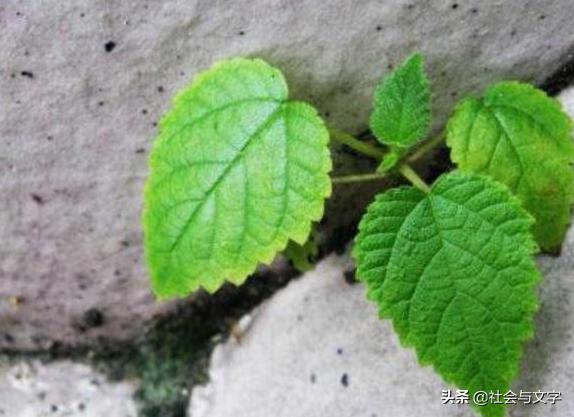 时运不济怎么及时化解,时运不济该怎么开导自己