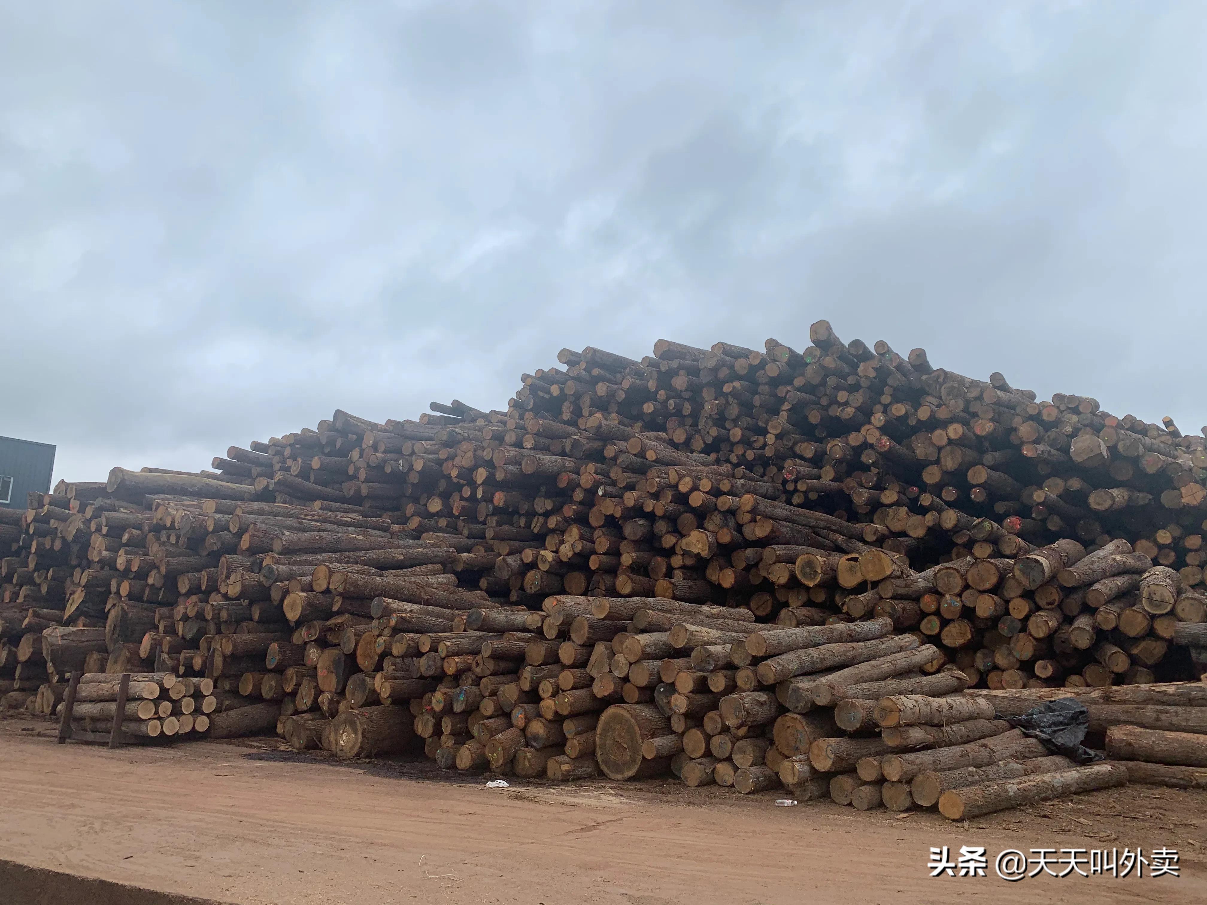 番龙眼实木地板真实感受,地板番龙眼是什么档次