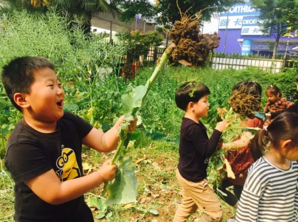 etonhouse伊顿幼儿园,eton伊顿