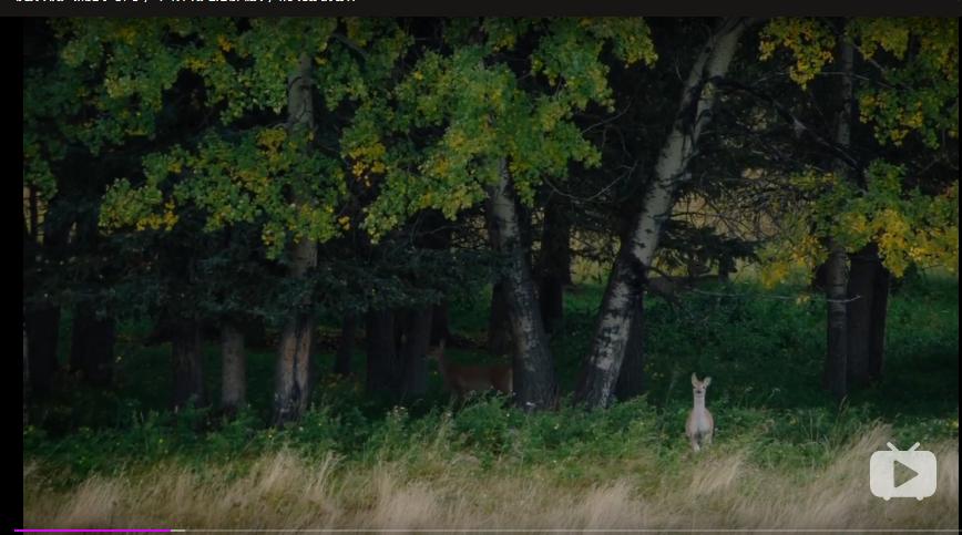 苍天啊大地啊是刘欢的哪首歌曲,苍天啊大地啊是哪个小品