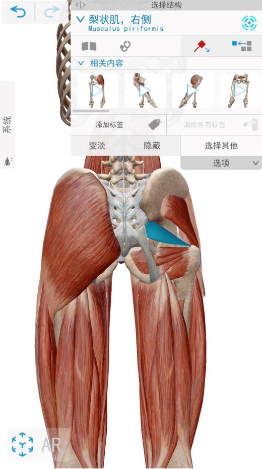 久坐整个臀部不舒服,夏天久坐者屁股又痛又破皮怎么办