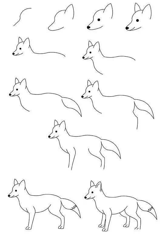 如何快速画动物简笔画,手把手教画动物简笔画