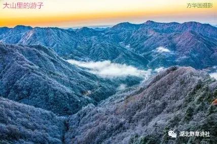 野草诗社七院,野草诗社咏春版