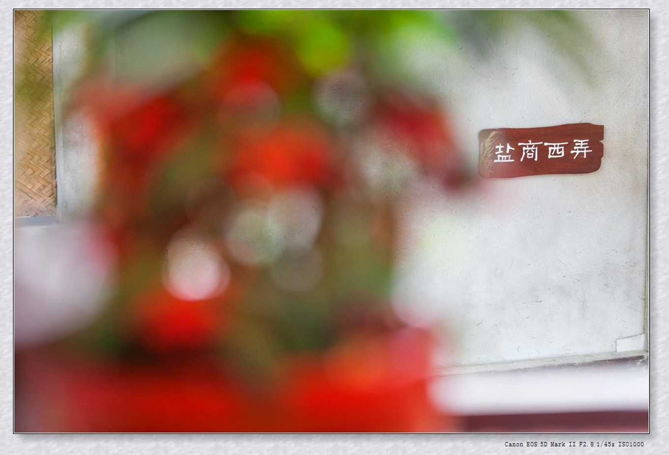 常州旅游东方盐湖城,骆驼之旅视频