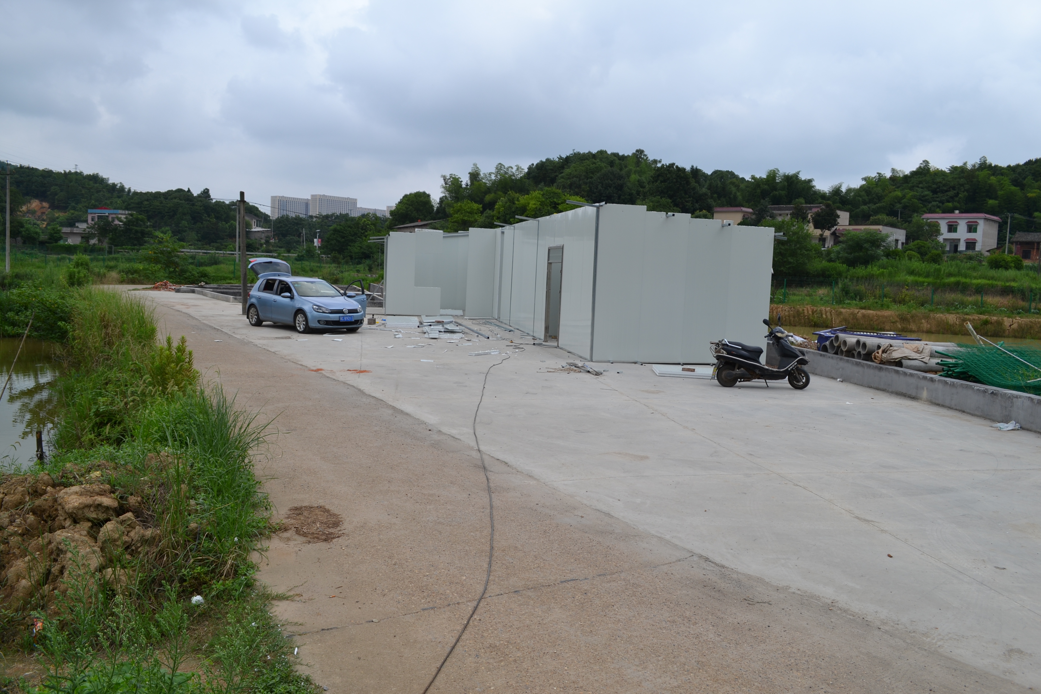 湖南最好的锦鲤养殖基地,湘潭锦鲤养殖