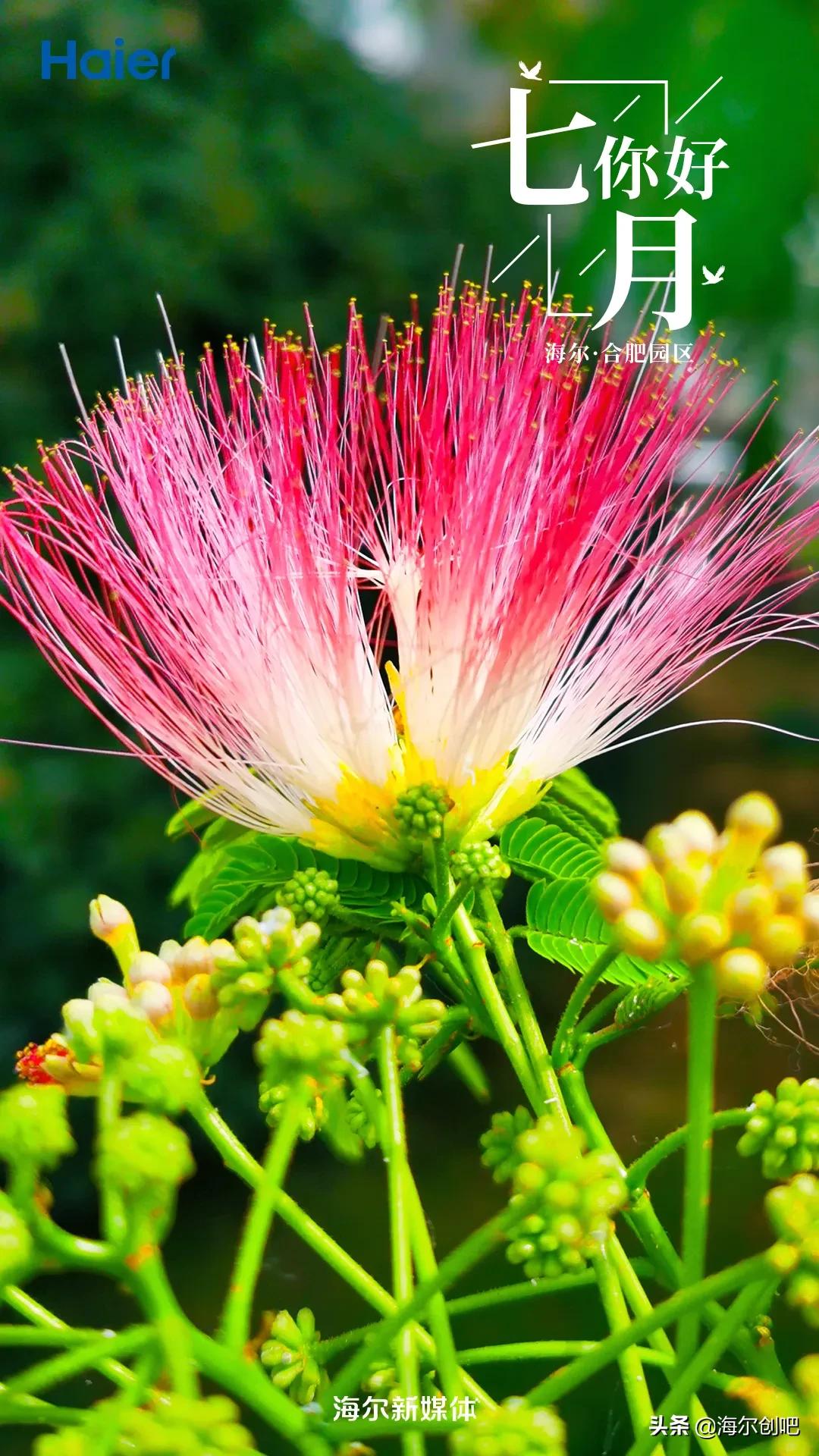 你好七月歌曲完整版,你好七月音乐视频