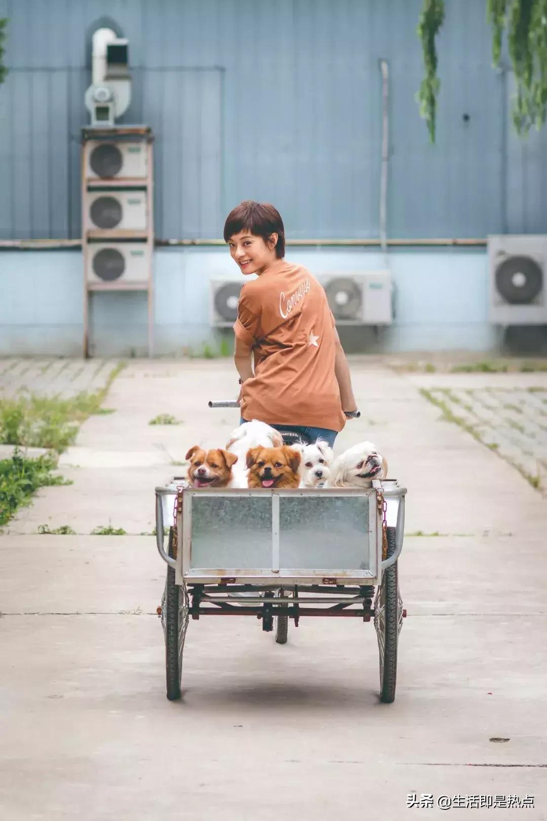 35岁孙俪重回颜值巅峰,孙俪对年龄的感慨