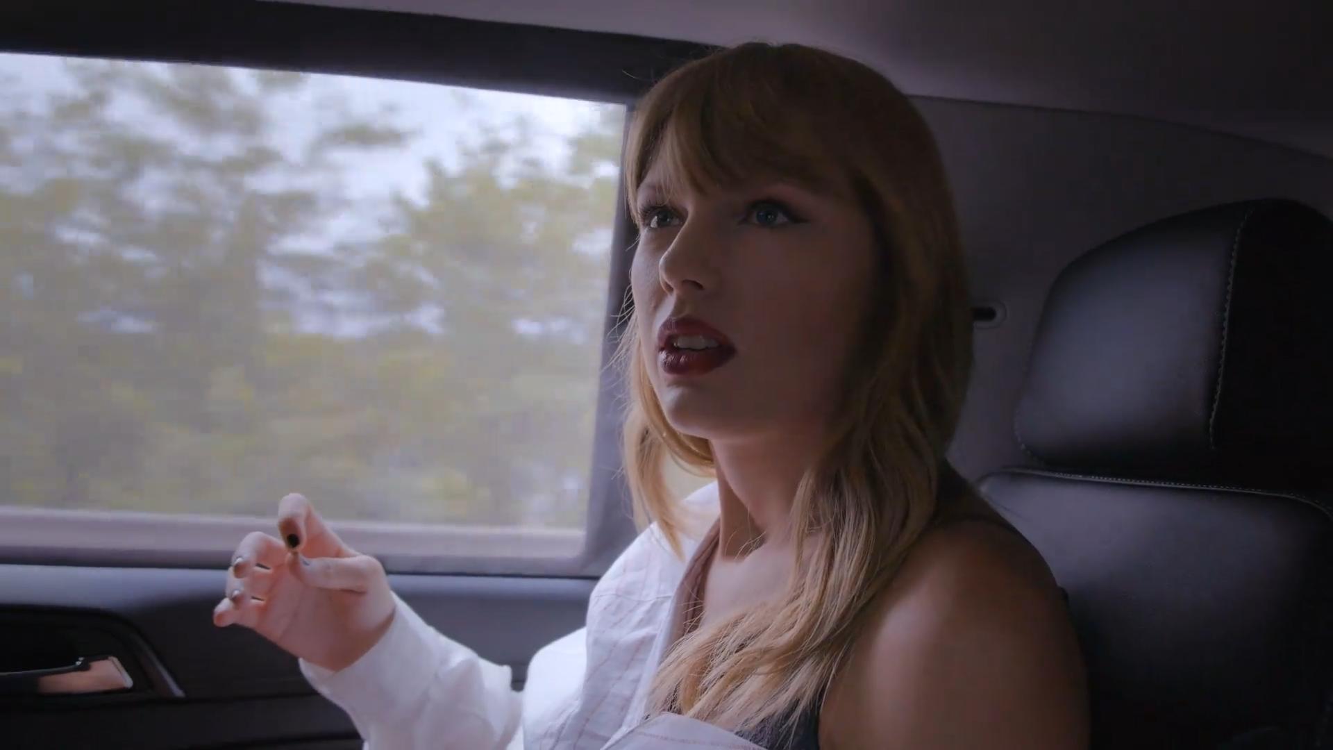 泰勒斯威夫特美利坚女士,泰勒斯威夫特先生和女士们