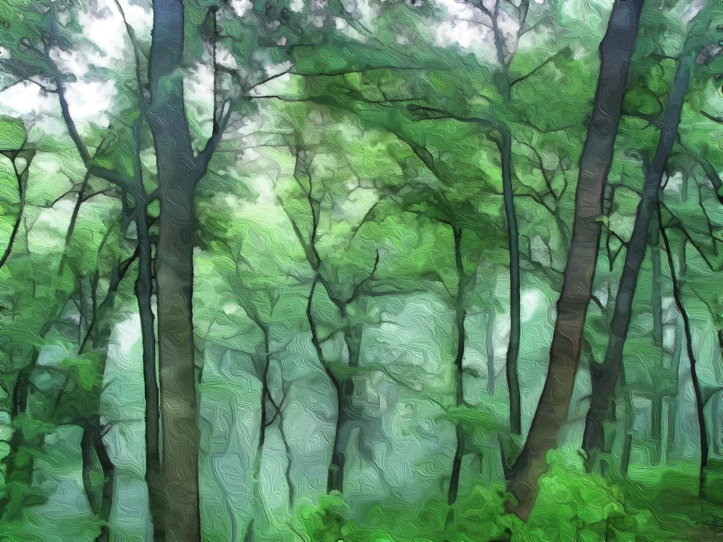 什么软件可以把照片生成手绘,怎么用软件把照片变成画