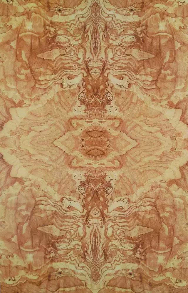 最美木皮,轻奢极简天然木皮