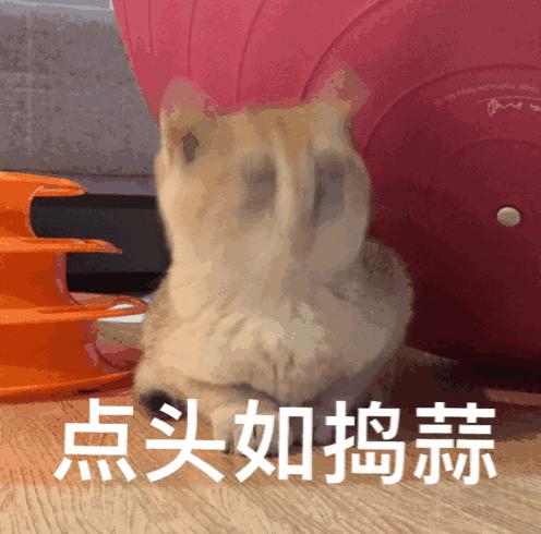 学会短信报警记住这个号码能救命,一条救命的短信