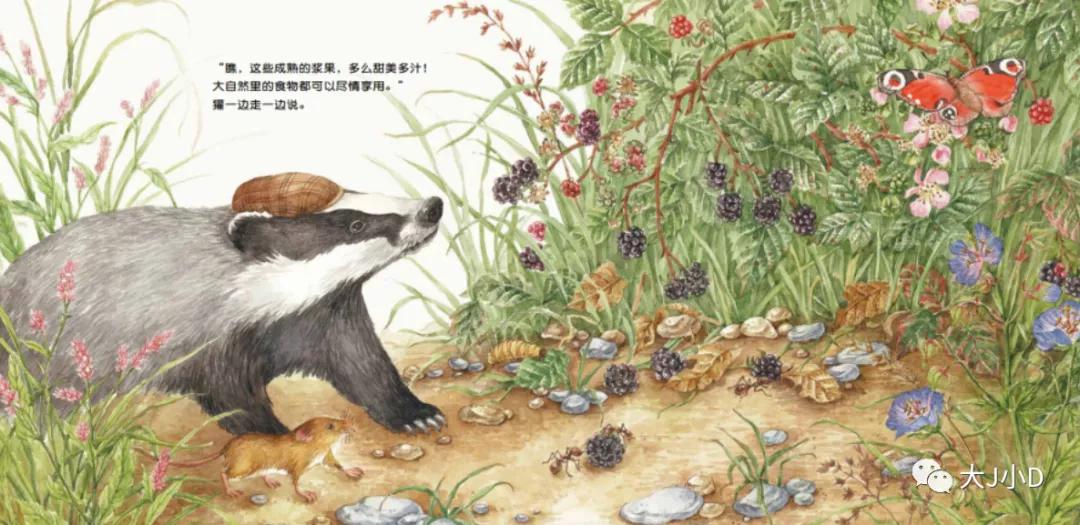 大班经典绘本推荐,国际获奖幼儿经典绘本推荐