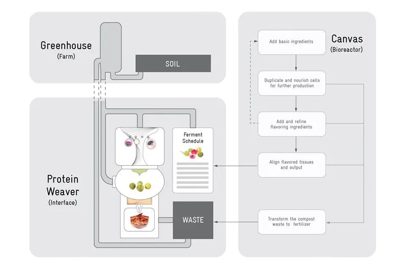 食物设计案例,健康饮食的设计意图