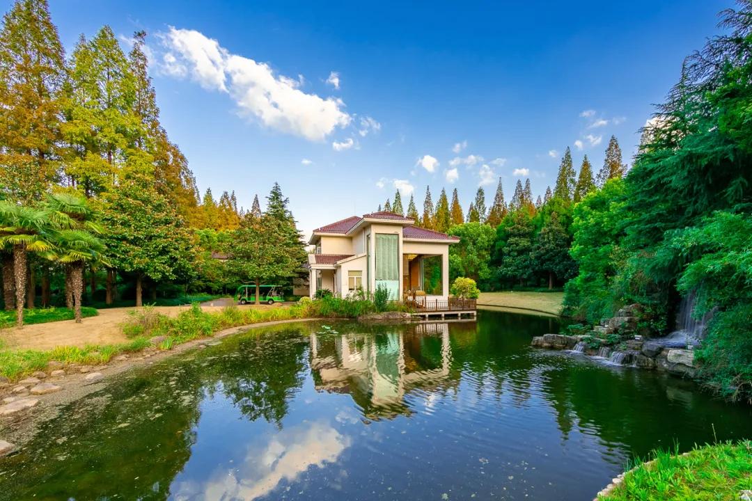 足不出沪的假期,足不出沪游上海