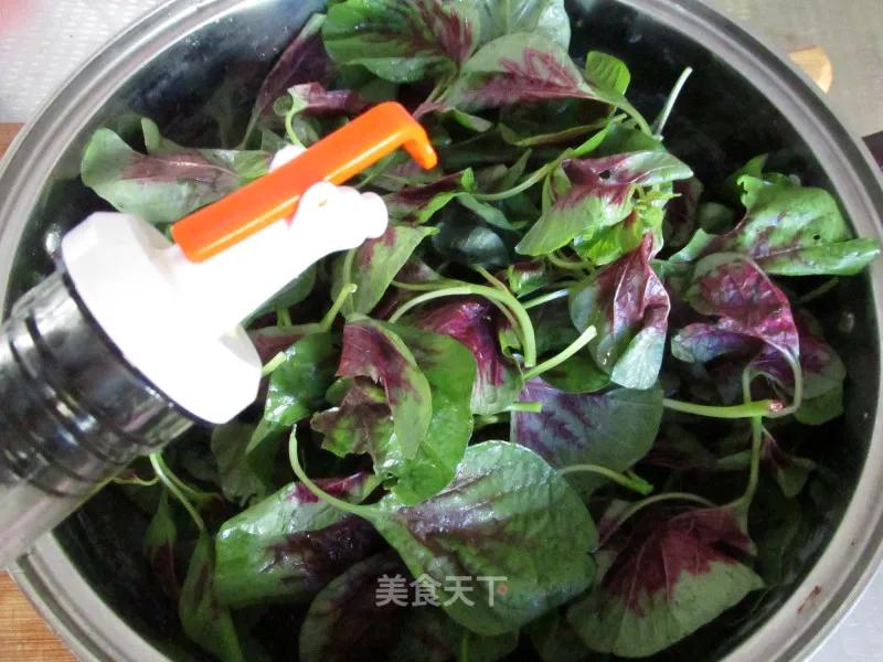 一两苋菜一两金啥意思,半斤苋菜含多少草酸