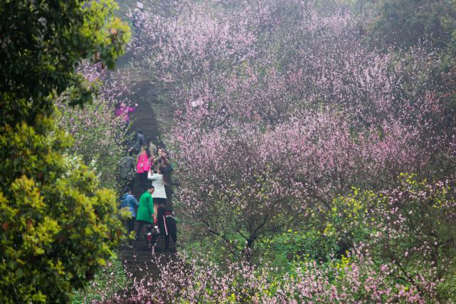 重庆旅游宝藏攻略,重庆三月最适合玩的地方