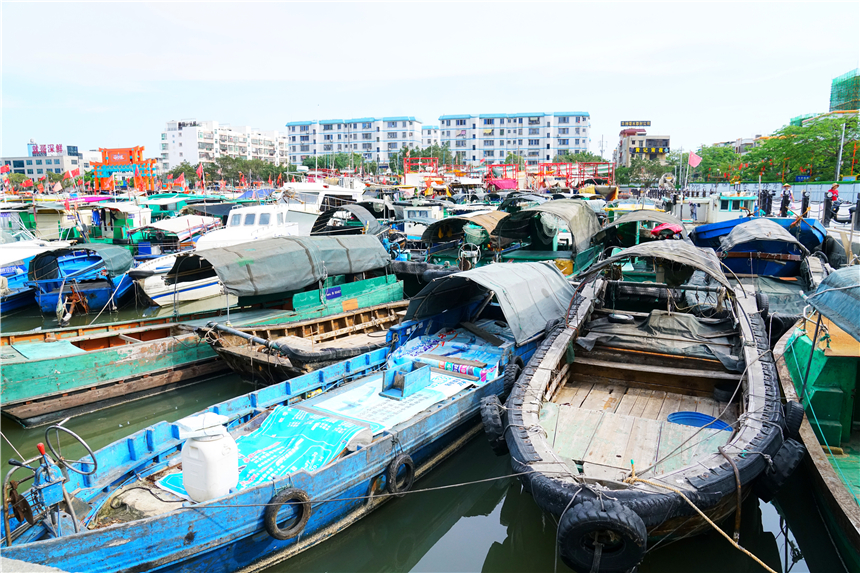 北海旅游，鲜榨果汁6块深海鲍鱼1.2元，东北大哥为何在此居住30年