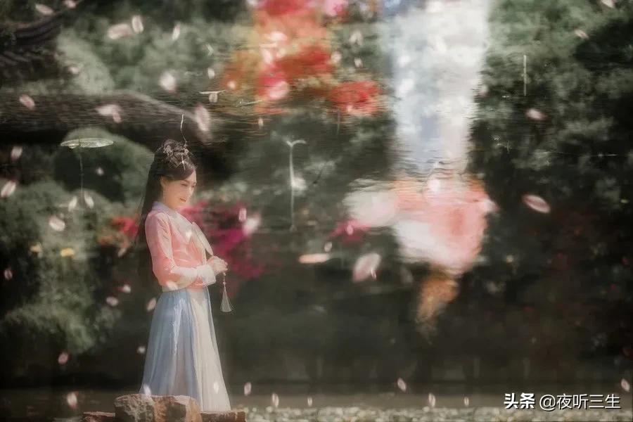 梦里花落知多少夜听,只看梦里花落知多少