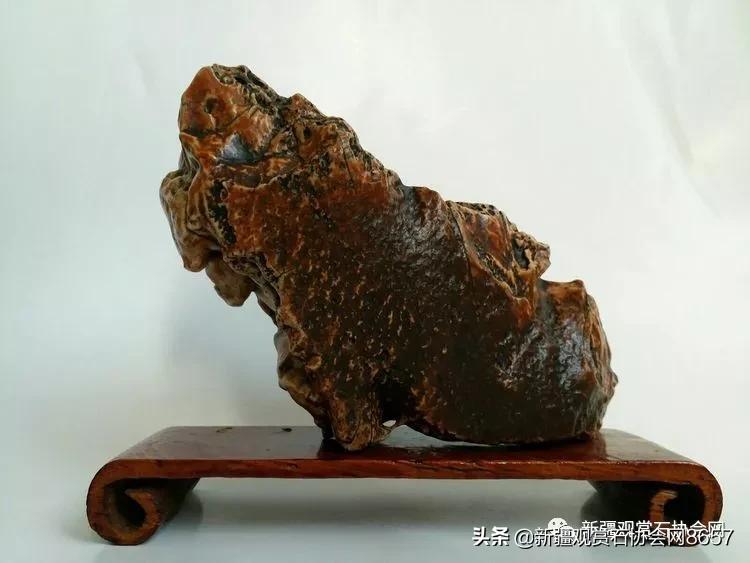 鎴堝鑰佺毊,鎴堝鑰佺毊鍜屾按鏅剁毊