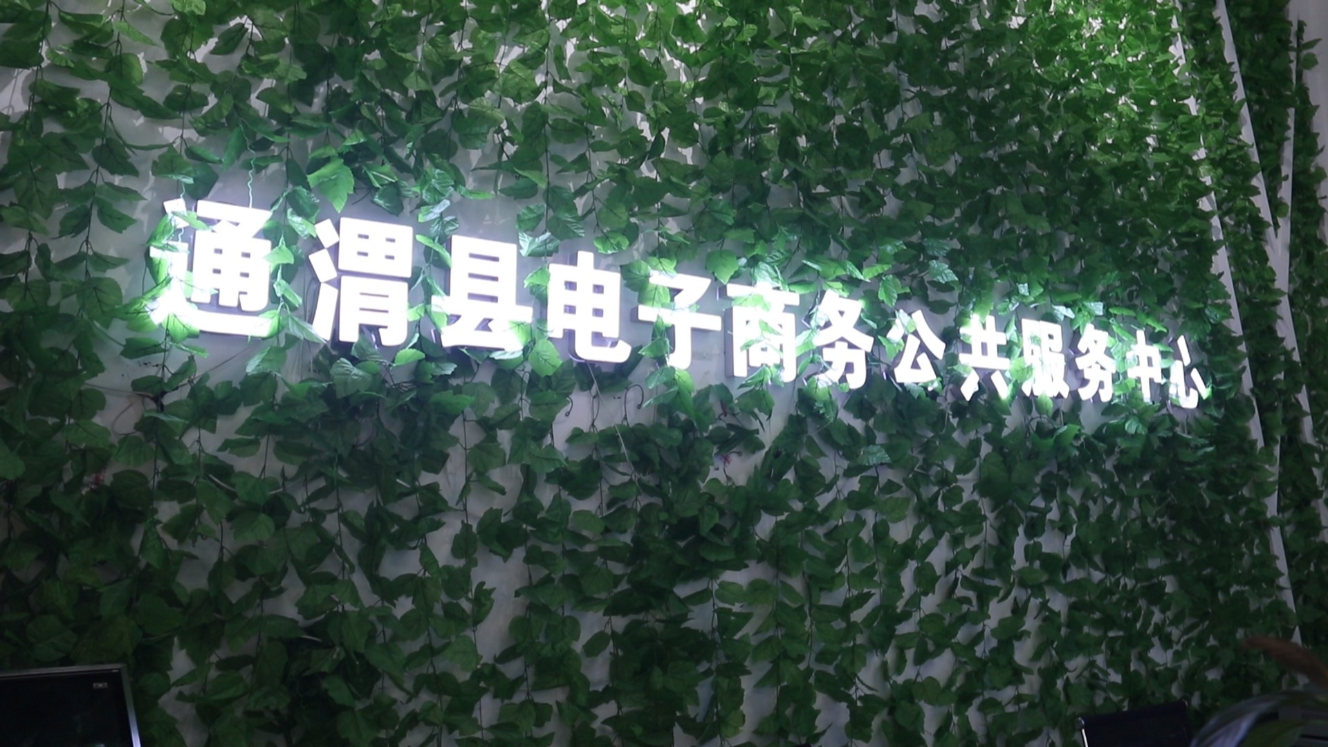 脱贫攻坚助力乡村振兴,乡村振兴电商助力脱贫