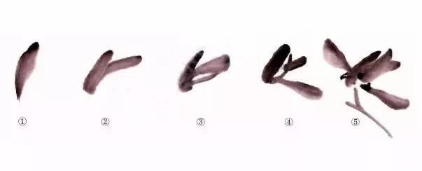 国画兰花绘画图,简单国画兰花画法教程