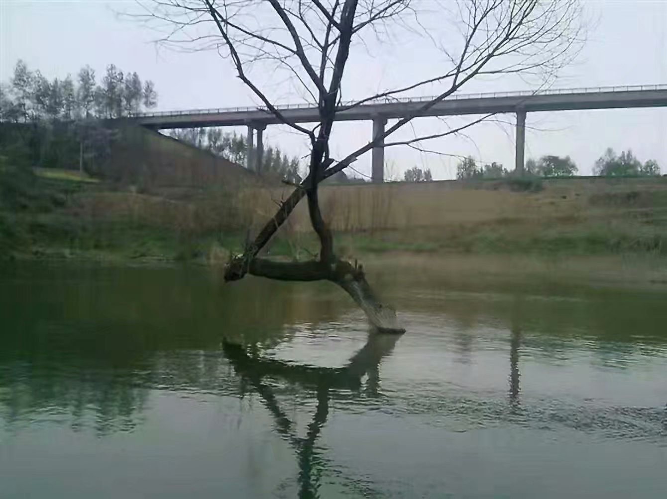 晚春下雨钓鲤鱼钓深还是钓浅,晚春水库钓鲤鱼最佳位置图