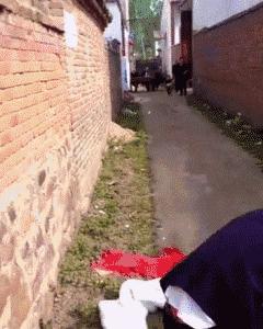 爆笑gif妹子你都拖大家的后腿了,搞笑gif妹子绝对是一位运动健将