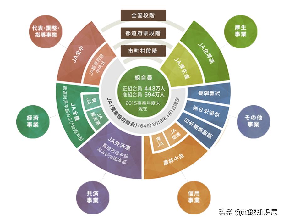 日本西瓜200人民币一个？这背后不为人知的是……|地球知识局