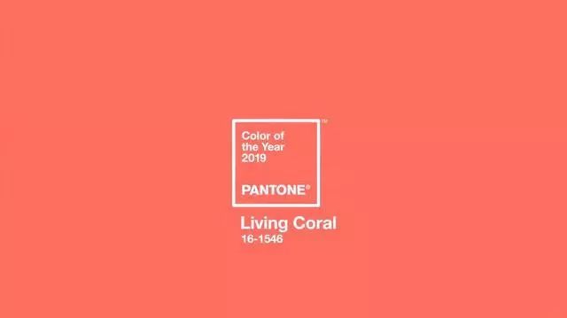 时尚圈今年的流行色,今年时尚趋势流行色