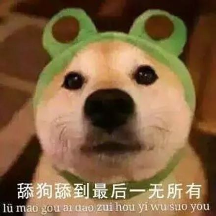 舔狗舔到最后一无所有的图片,舔狗真的到最后舔到一无所有吗